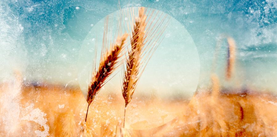 作個輕鬆有效家長