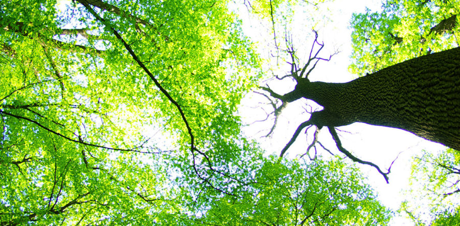 如何讓愛情持久